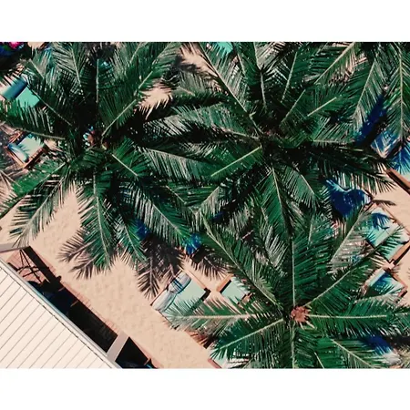 Dolphin Coast Apartman